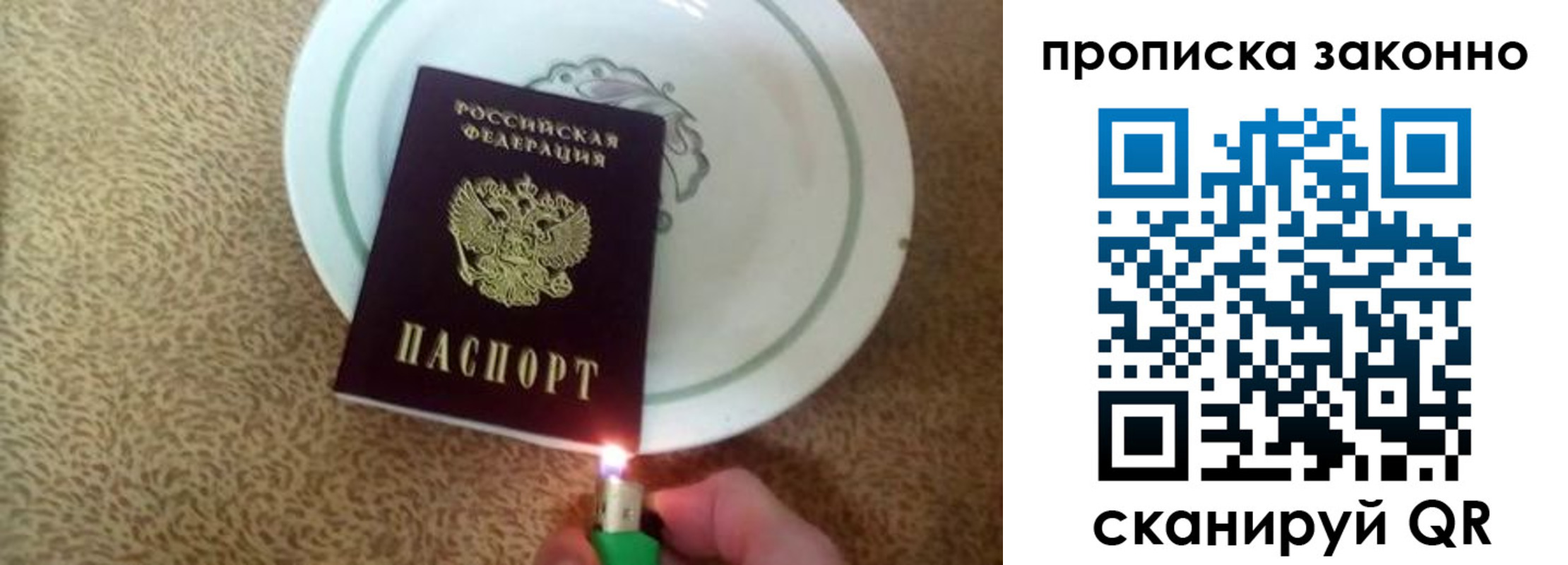 прописка поиск в Котово